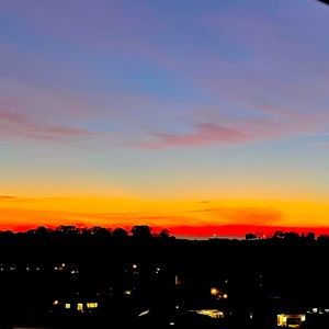 Meet your Posher, Scarlett